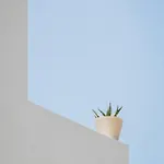 Capital Skopelos