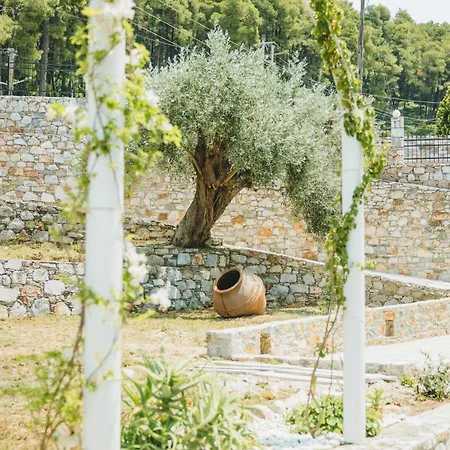 شقة فندقية Capital Skopelos 3*