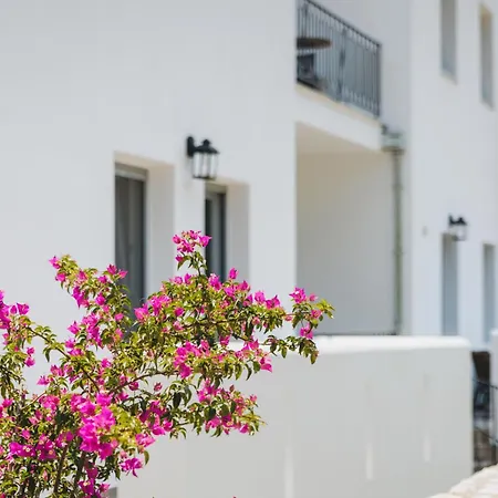 Aparthotel Capital Skopelos