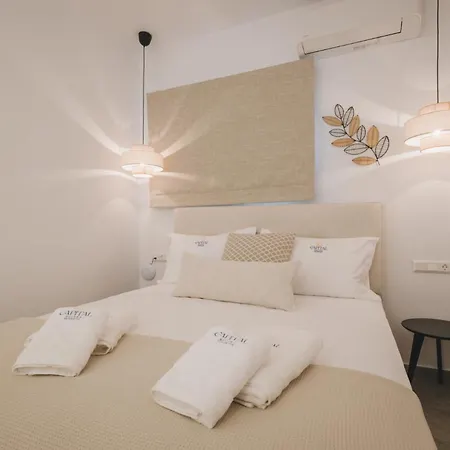 Aparthotel Capital Skopelos Neo Klima